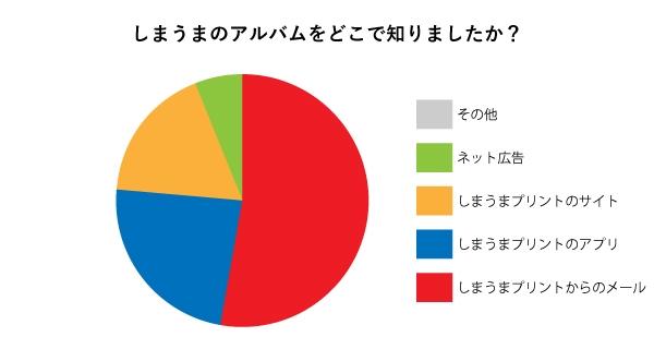 「しまうまのアルバム」をどこで知りましたか？