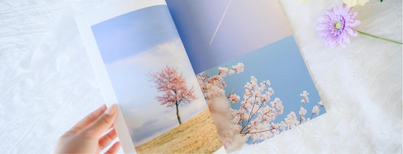 作品：@86ca86 様