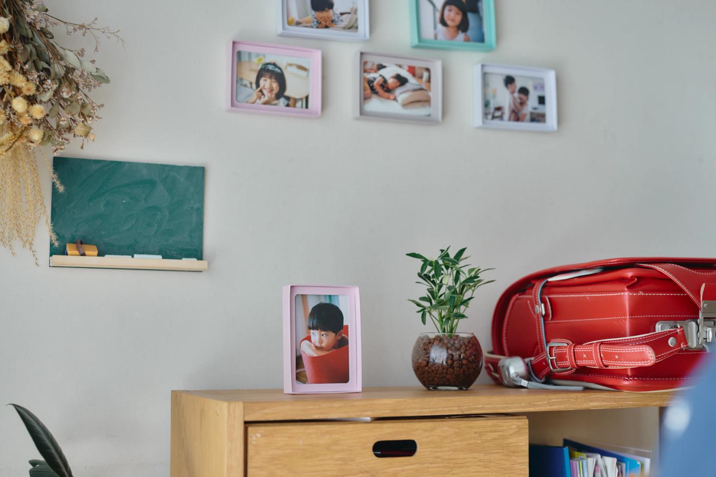 イロハコ〈Lサイズ〉