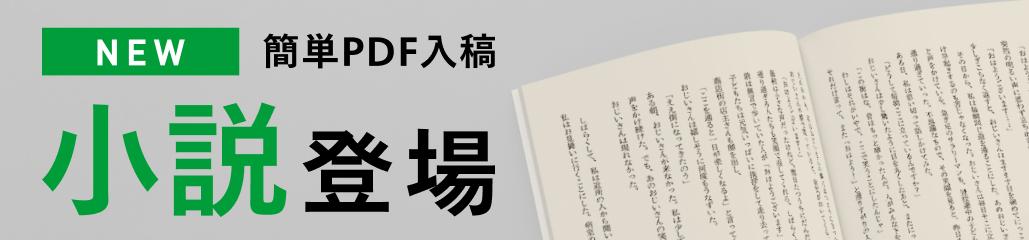 小説リリース